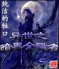 异世之暗黑全职者