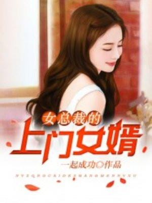 女总裁的上门女婿(又名超级上门女婿)