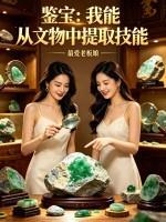 鉴宝：我能从文物中提取技能