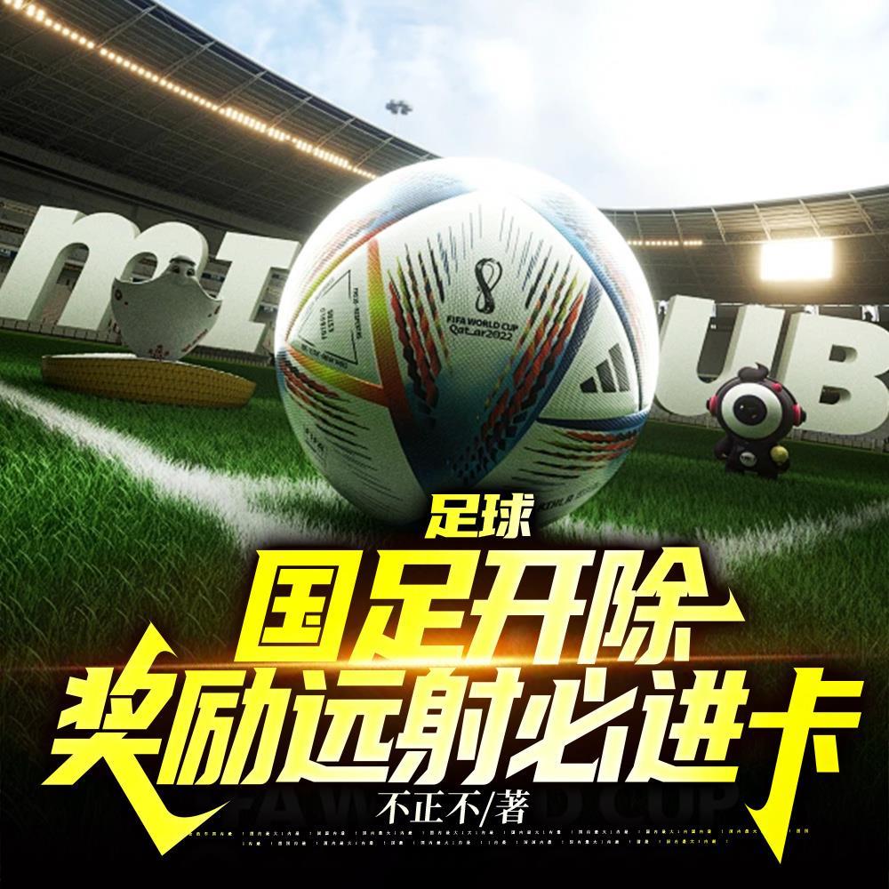 足球:国足开除,转身捧起欧洲杯