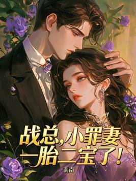 战总，小罪妻一胎二宝了