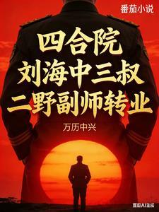 四合院,刘海中三叔二野副师转业