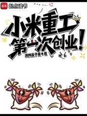 小米重工,第一次创业!