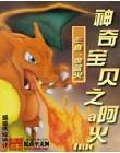 神奇宝贝之阿火